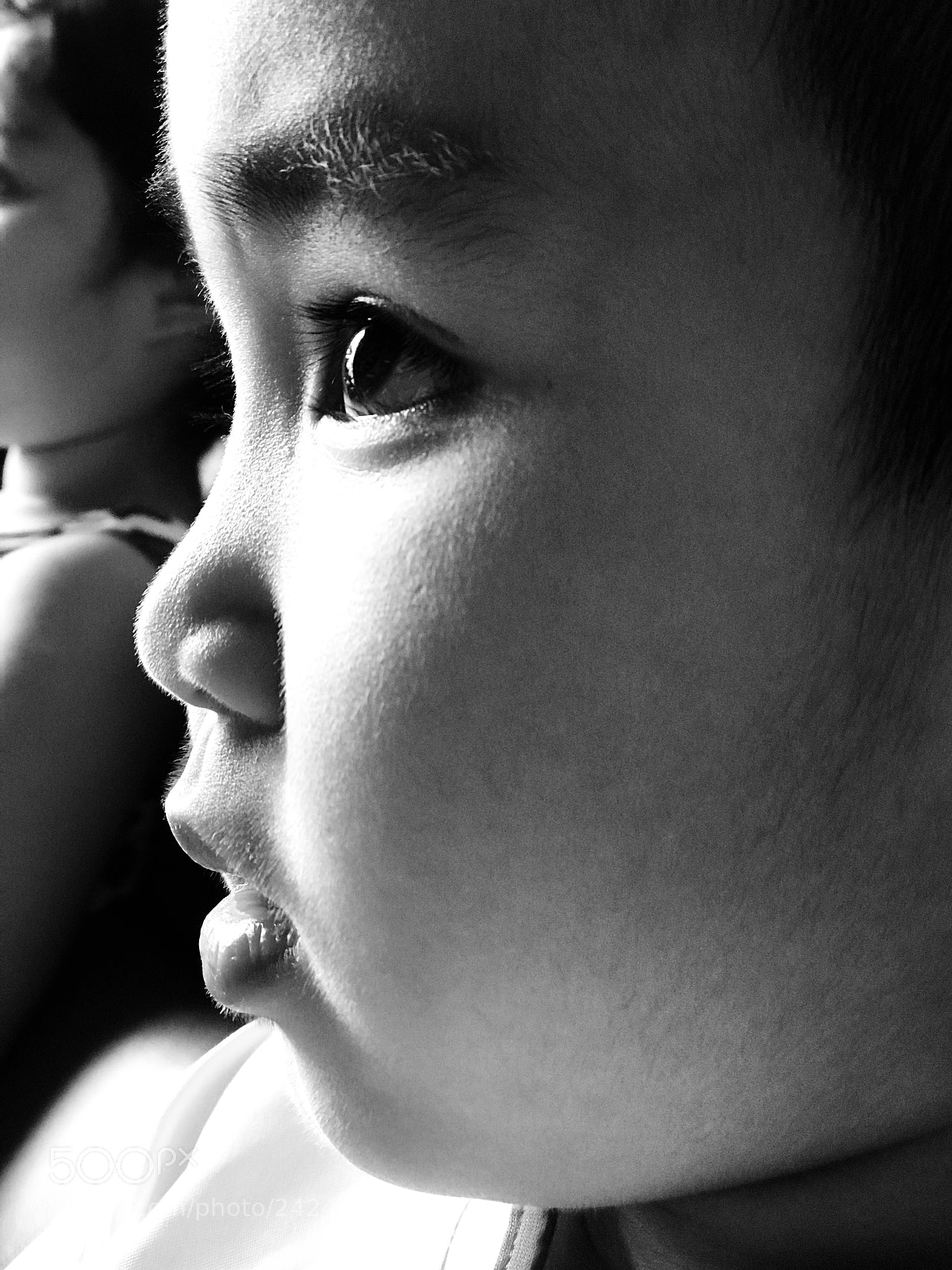 Apple iPhone 7 Plus sample photo. Untitled photography