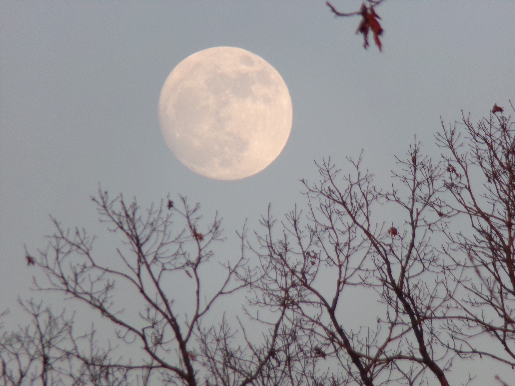 JK KODAK PIXPRO AZ401 sample photo. Full moon photography