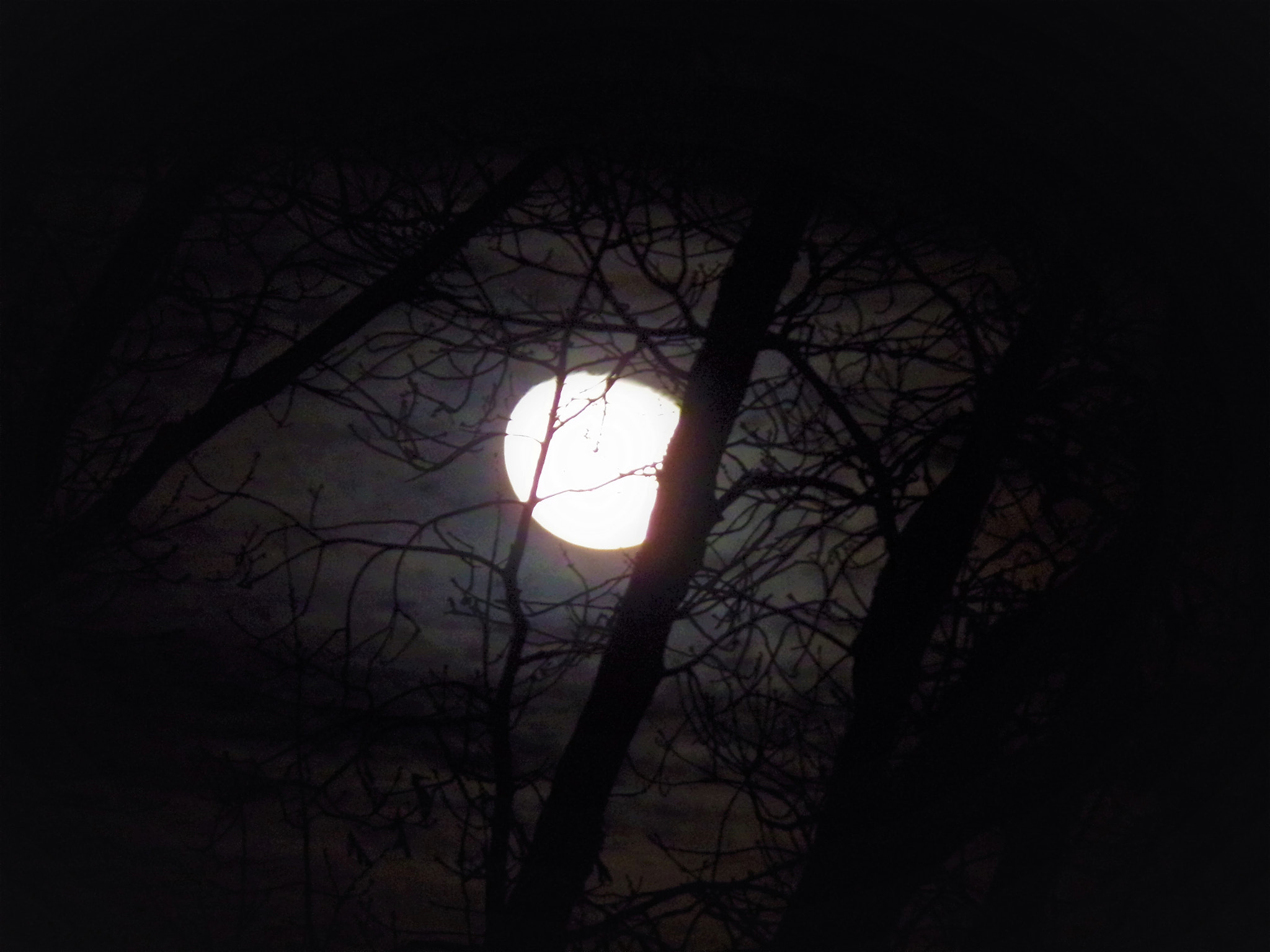 JK KODAK PIXPRO AZ401 sample photo. Moon photography