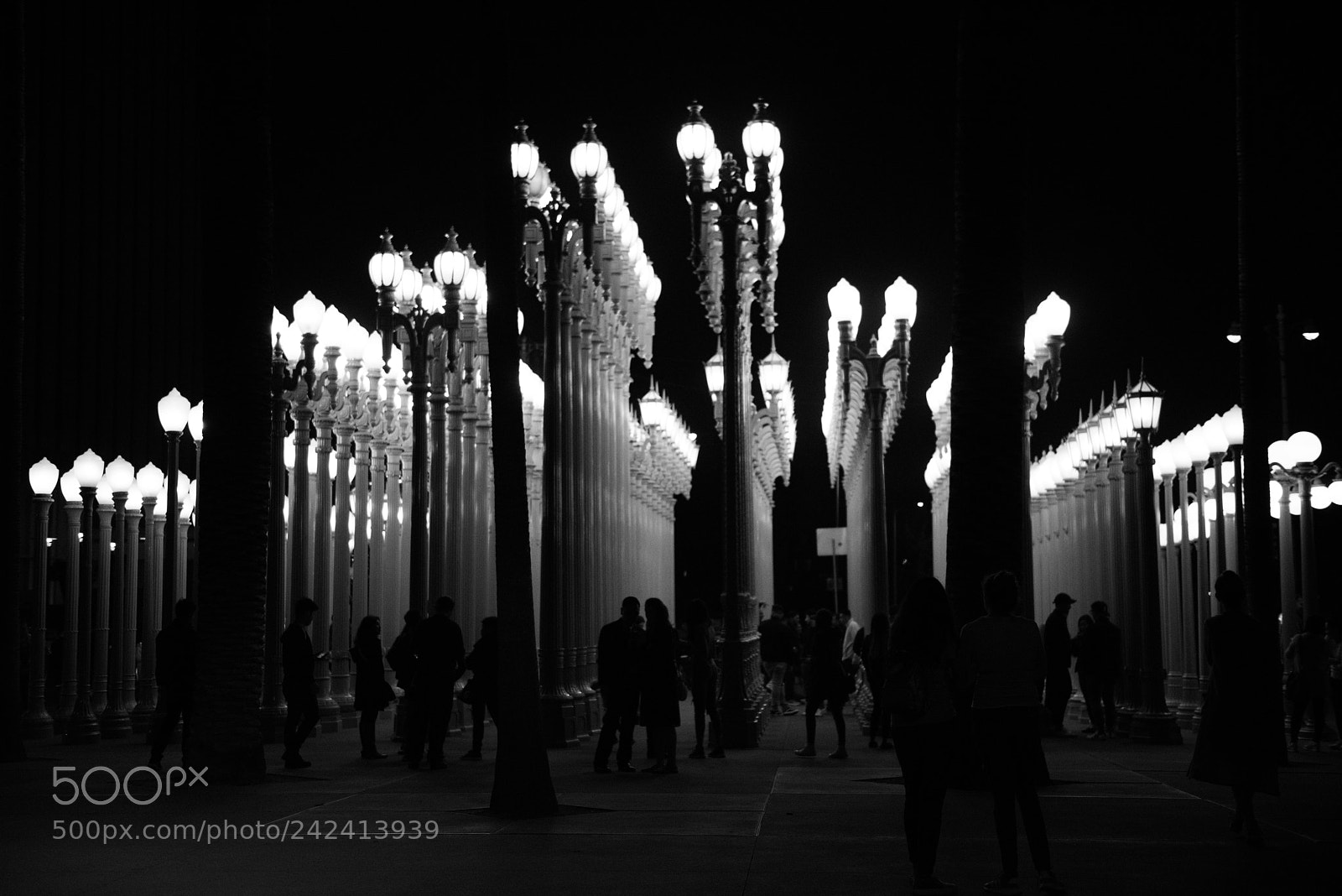 Nikon D810 sample photo. Lacma, la photography