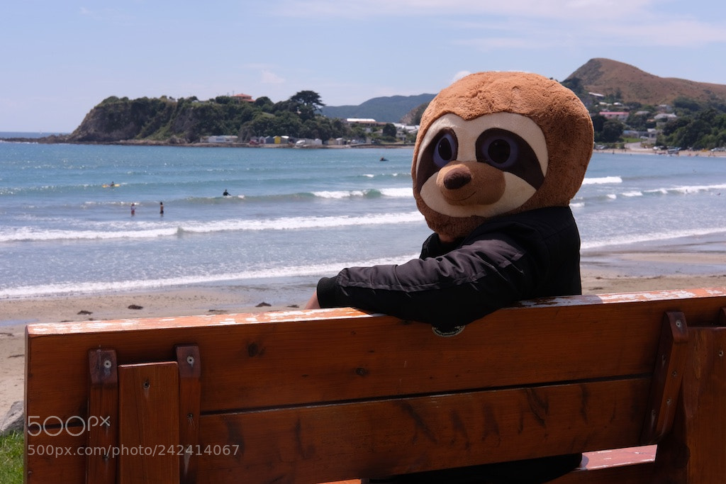 Fujifilm X-T2 sample photo. Sloth photography