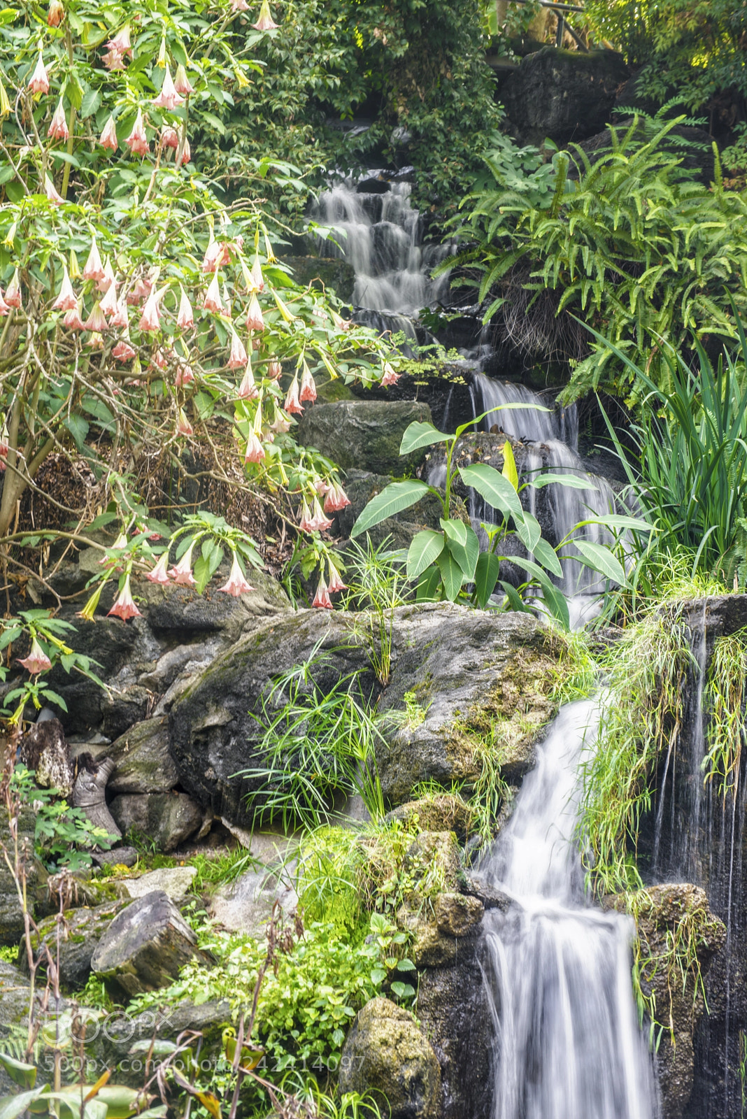 Nikon D600 sample photo. Arboretumfalls photography