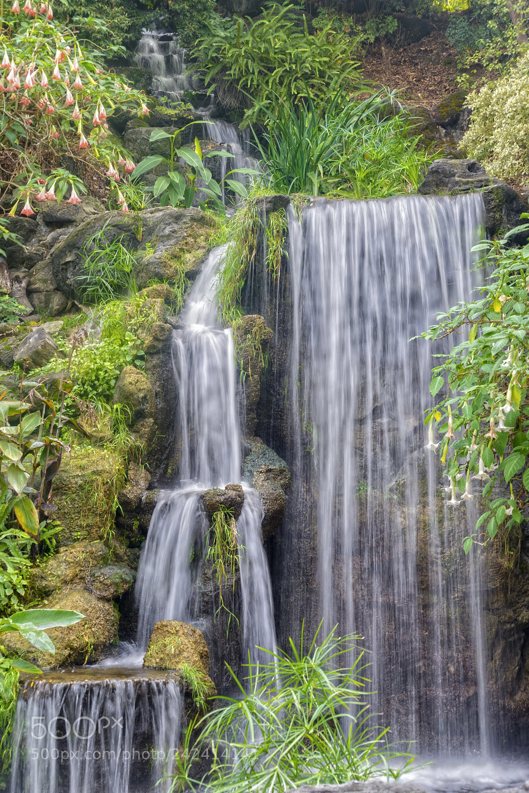 Nikon D600 sample photo. Arboretumfalls photography