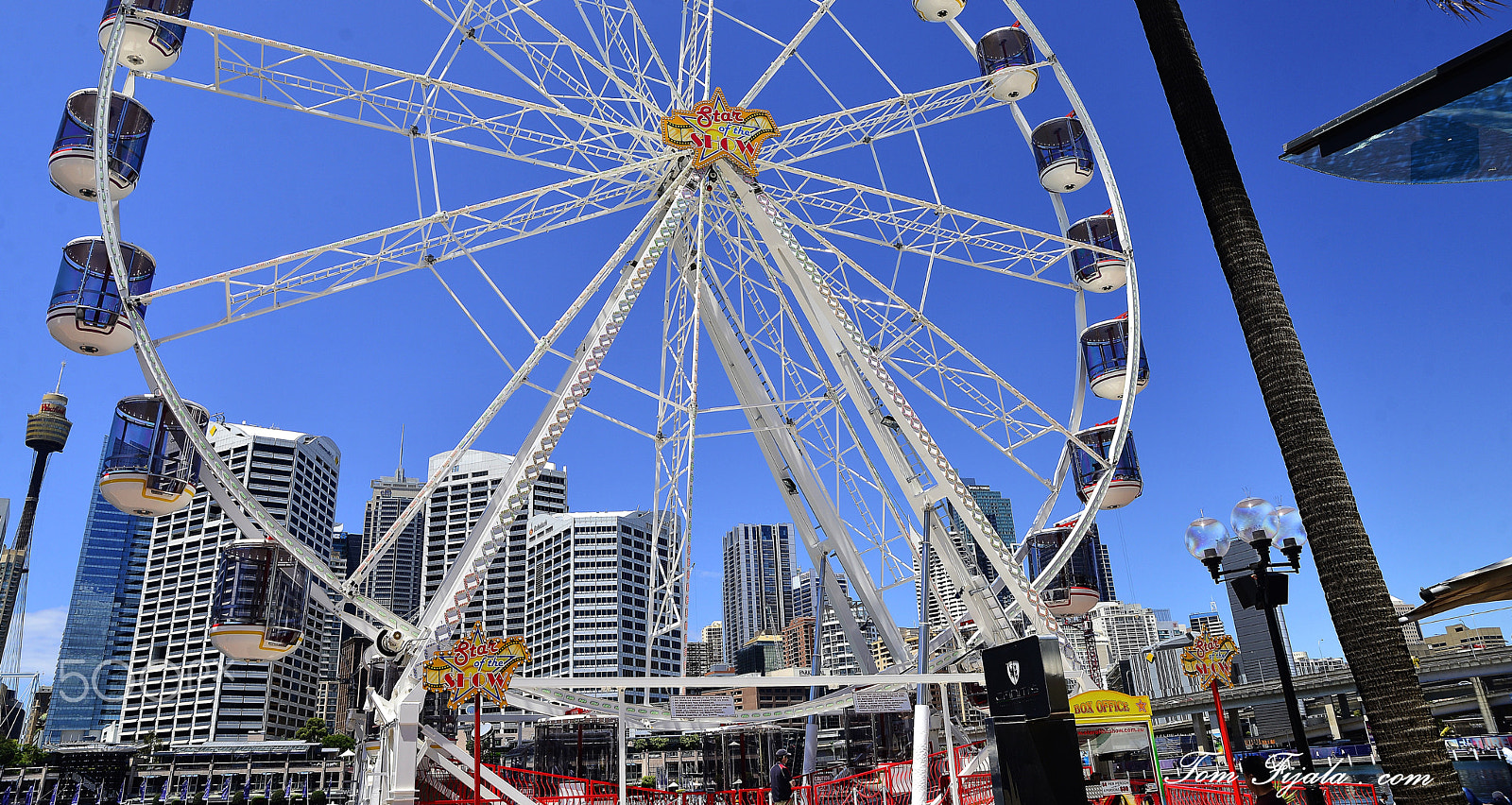Tamron SP 24-70mm F2.8 Di VC USD sample photo. Sydney photography