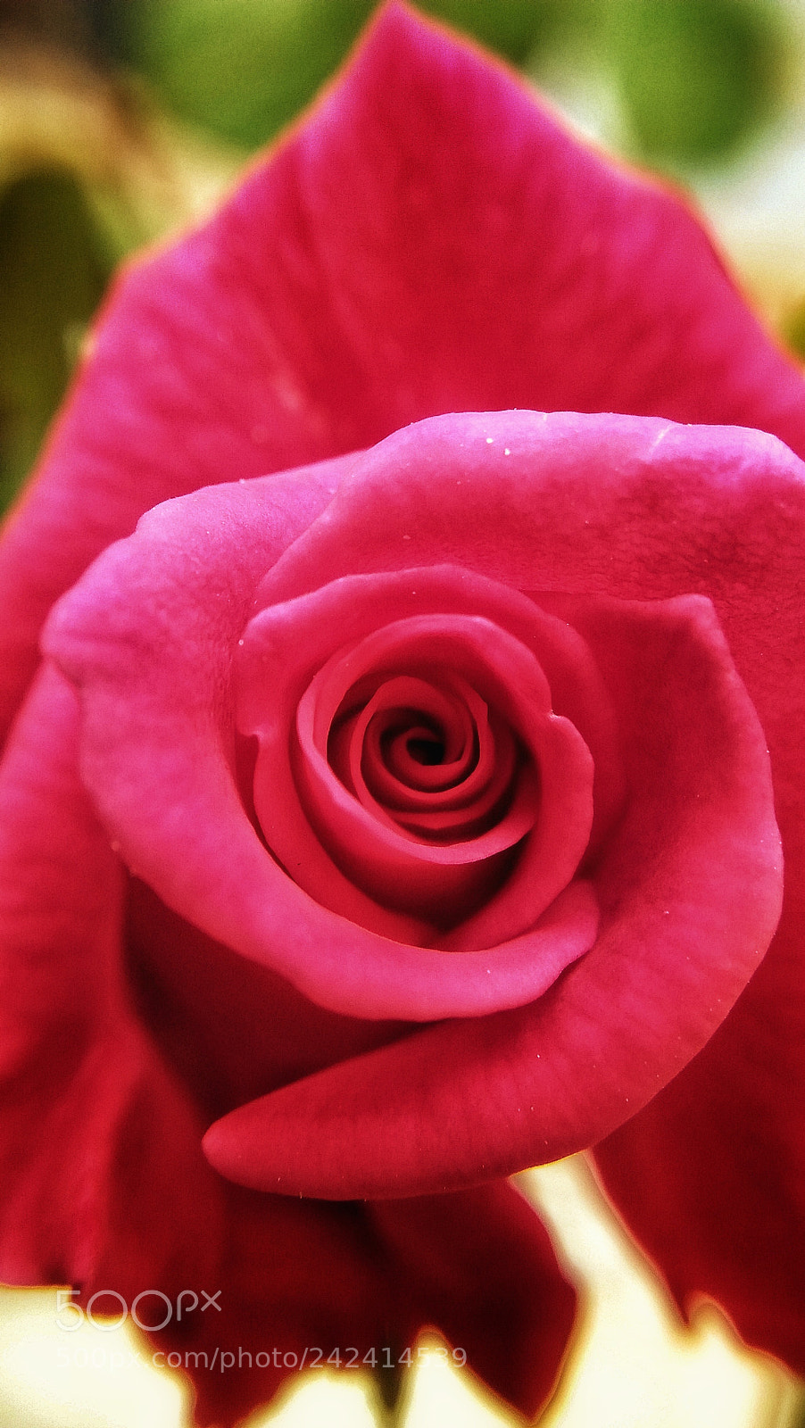 OPPO A37fw-International sample photo. Untitled photography