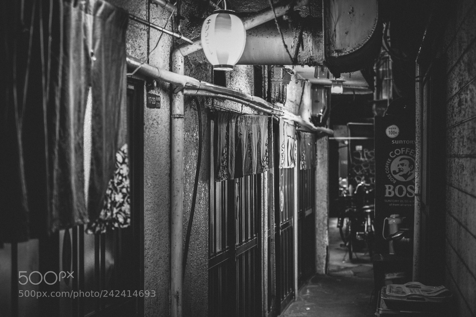 Fujifilm X-E1 sample photo. Light of alley photography