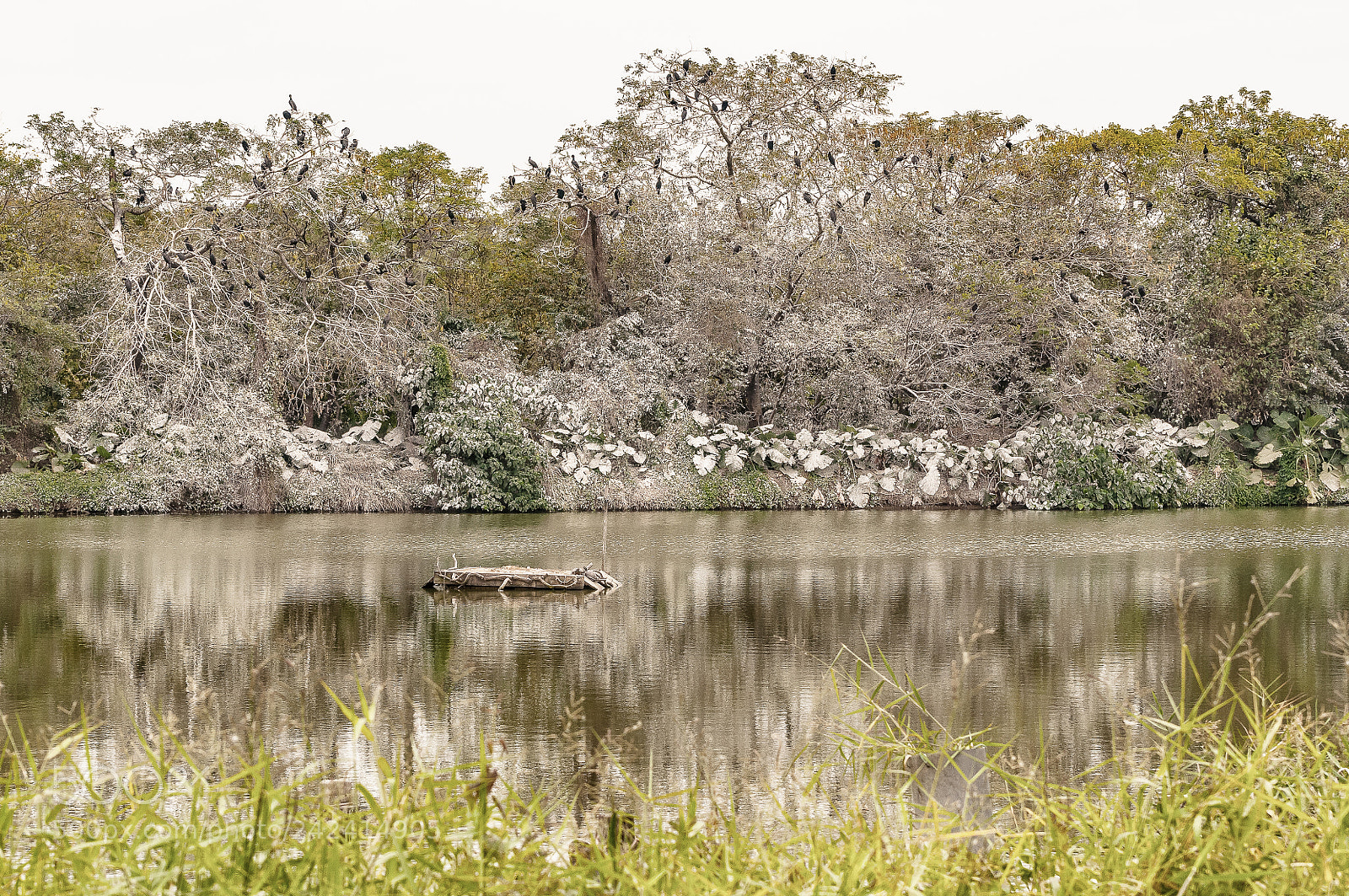 Nikon D300S sample photo. *** photography