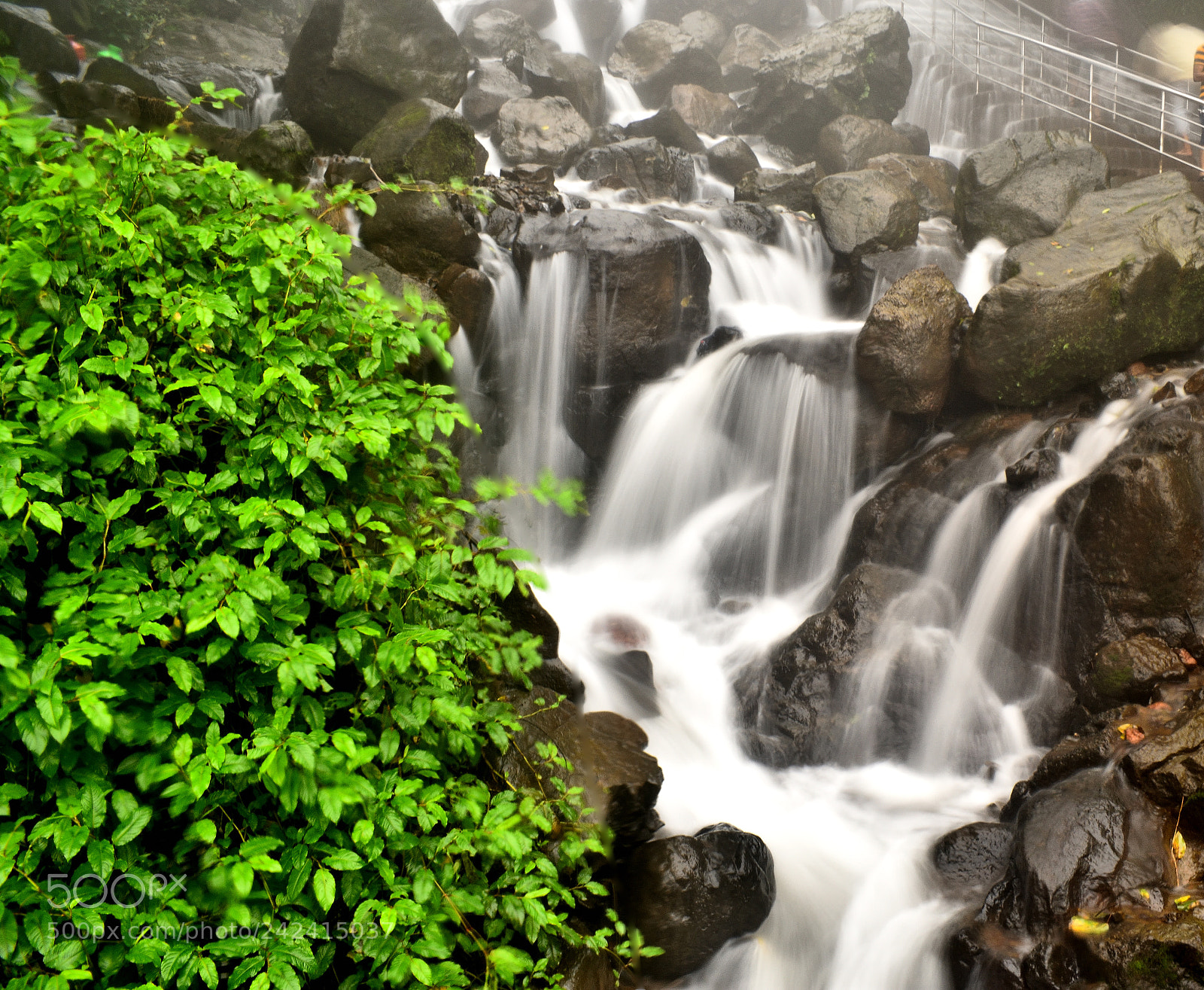 Nikon D3400 sample photo. Amboli waterfalls photography