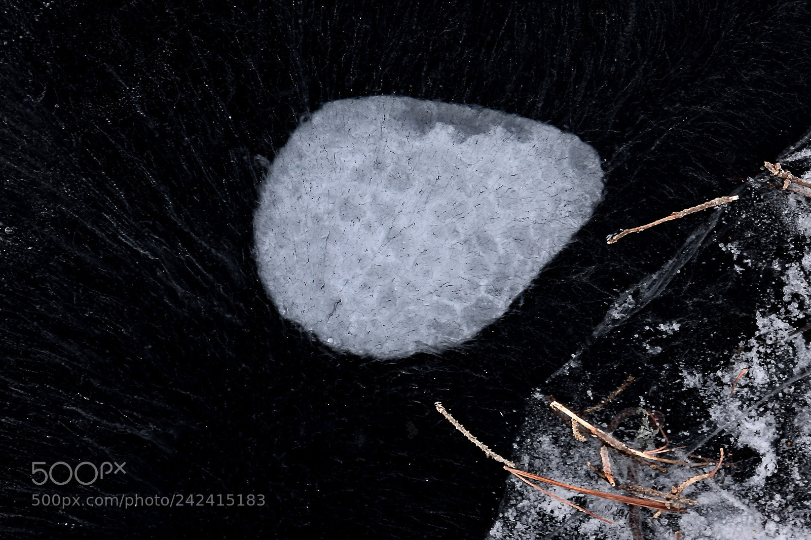 Nikon 1 J5 sample photo. Ice abstract vi photography