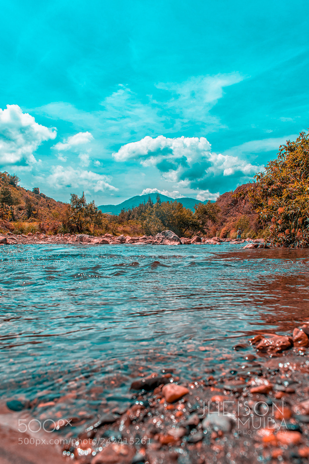 Nikon D5500 sample photo. Untitled photography