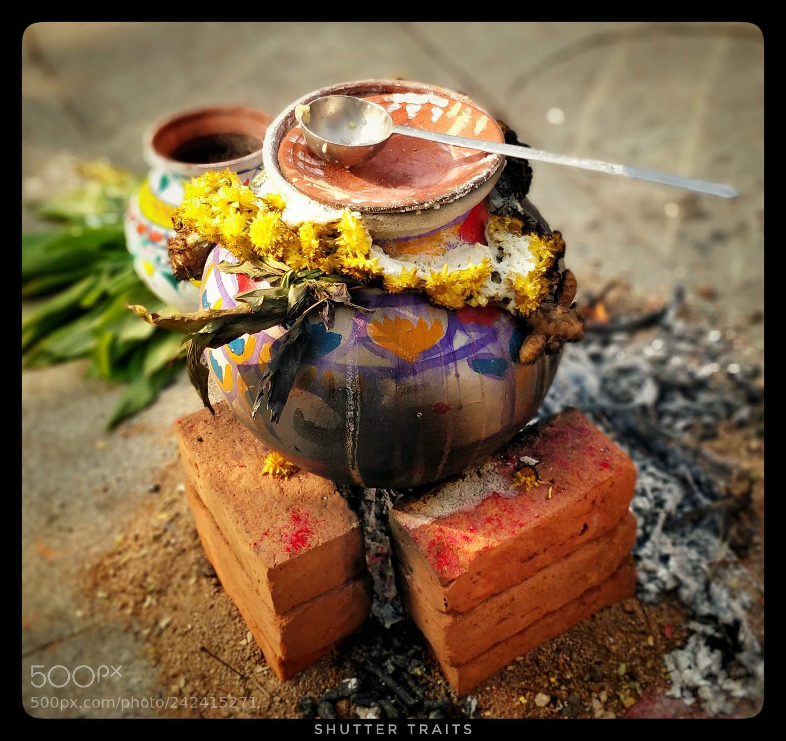 OnePlus 5 sample photo. Pongal - harvest festival photography
