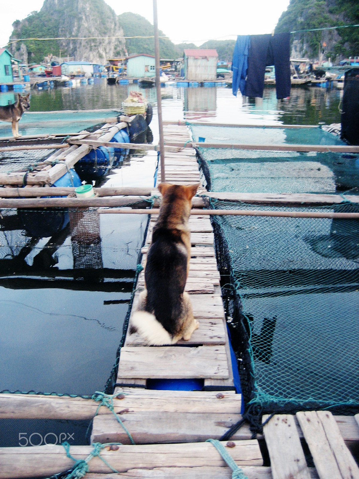 Canon DIGITAL IXUS 60 sample photo. On a floating house, cat ba, vietnam photography