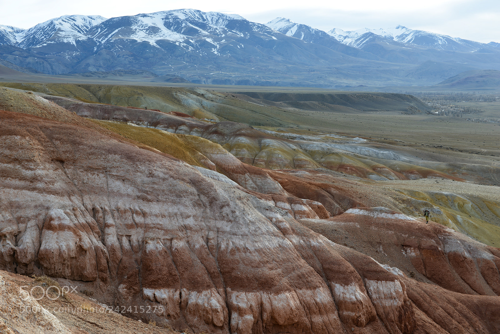 Nikon D800E sample photo. Altai mars photography