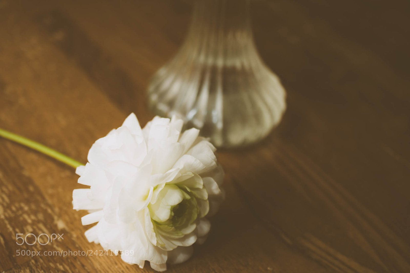 Nikon D7200 sample photo. Vase photography