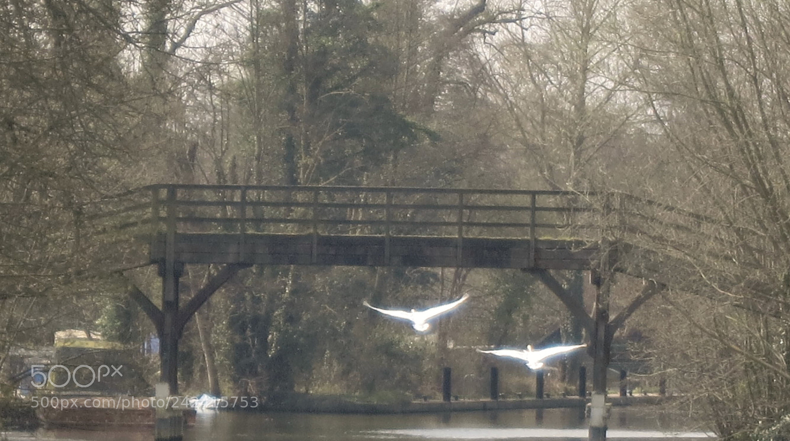 Canon PowerShot S110 sample photo. On the river thames photography