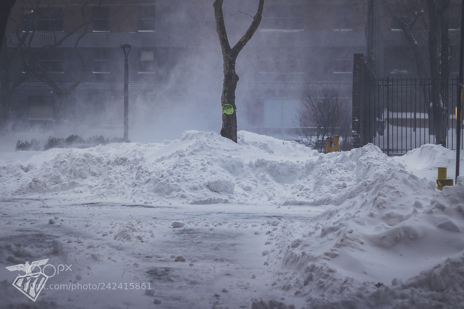 Canon EOS 1300D (EOS Rebel T6 / EOS Kiss X80) sample photo. Nyc snowbomb... photography