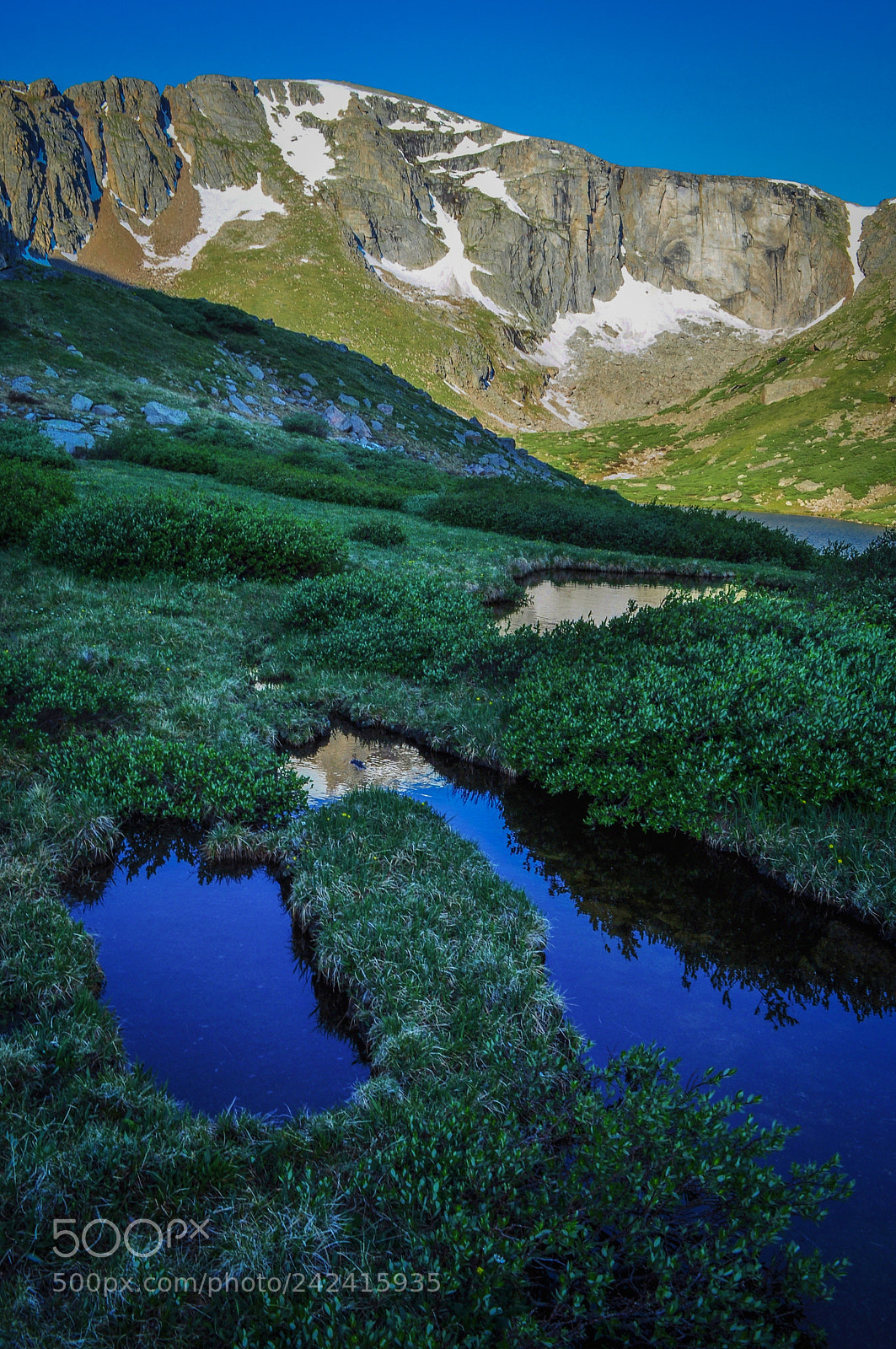 Nikon D5000 sample photo. Ponds of blue and photography