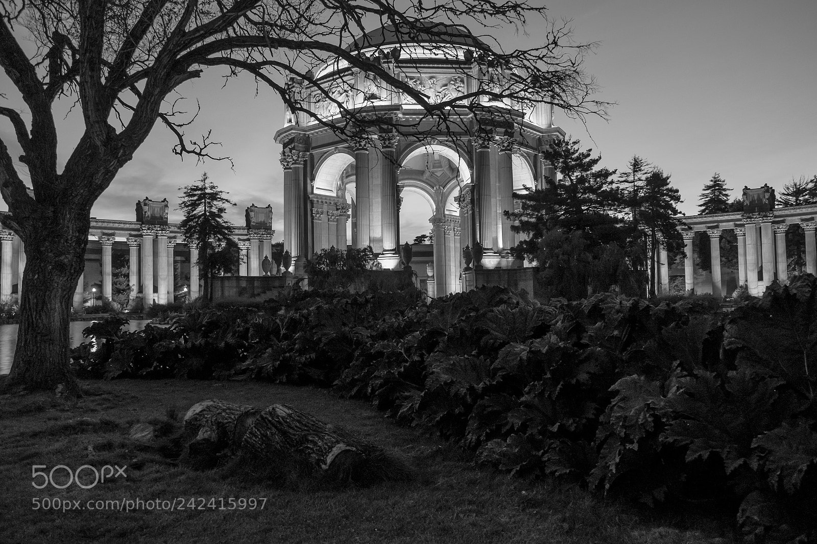 Fujifilm X-T1 sample photo. Nighttime at the palace photography