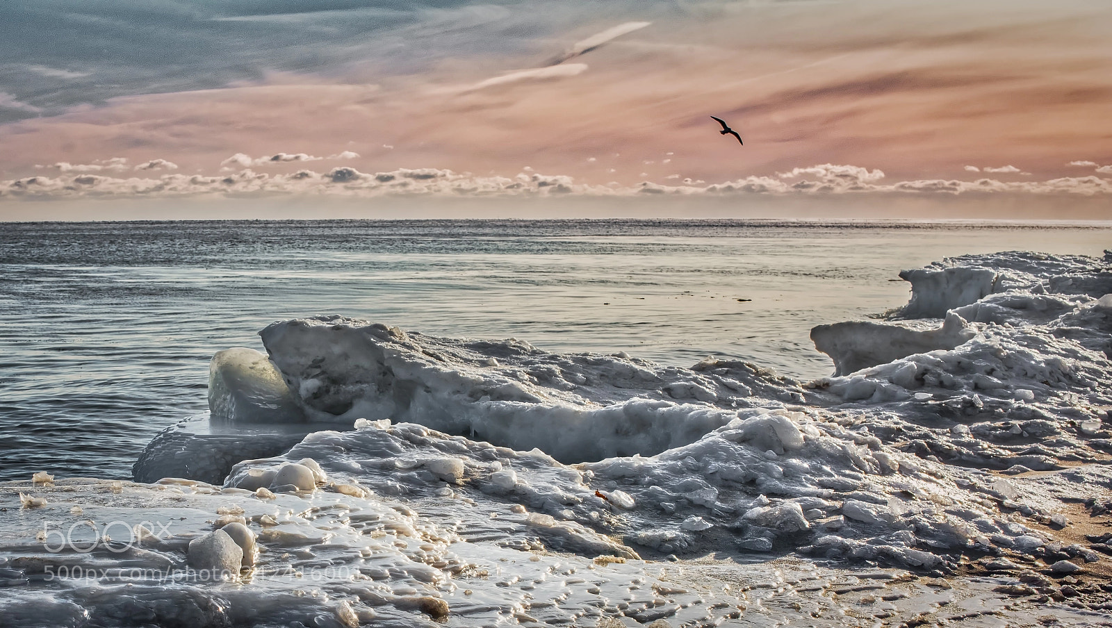 Nikon D810 sample photo. Heading home photography