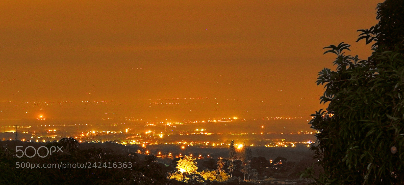 Canon EOS 60D sample photo. Moments photography