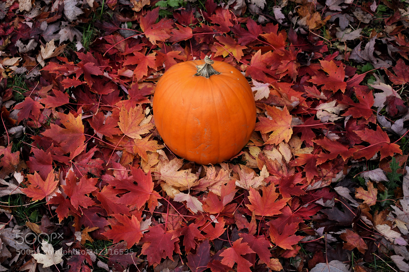Nikon D3400 sample photo. Untitled photography