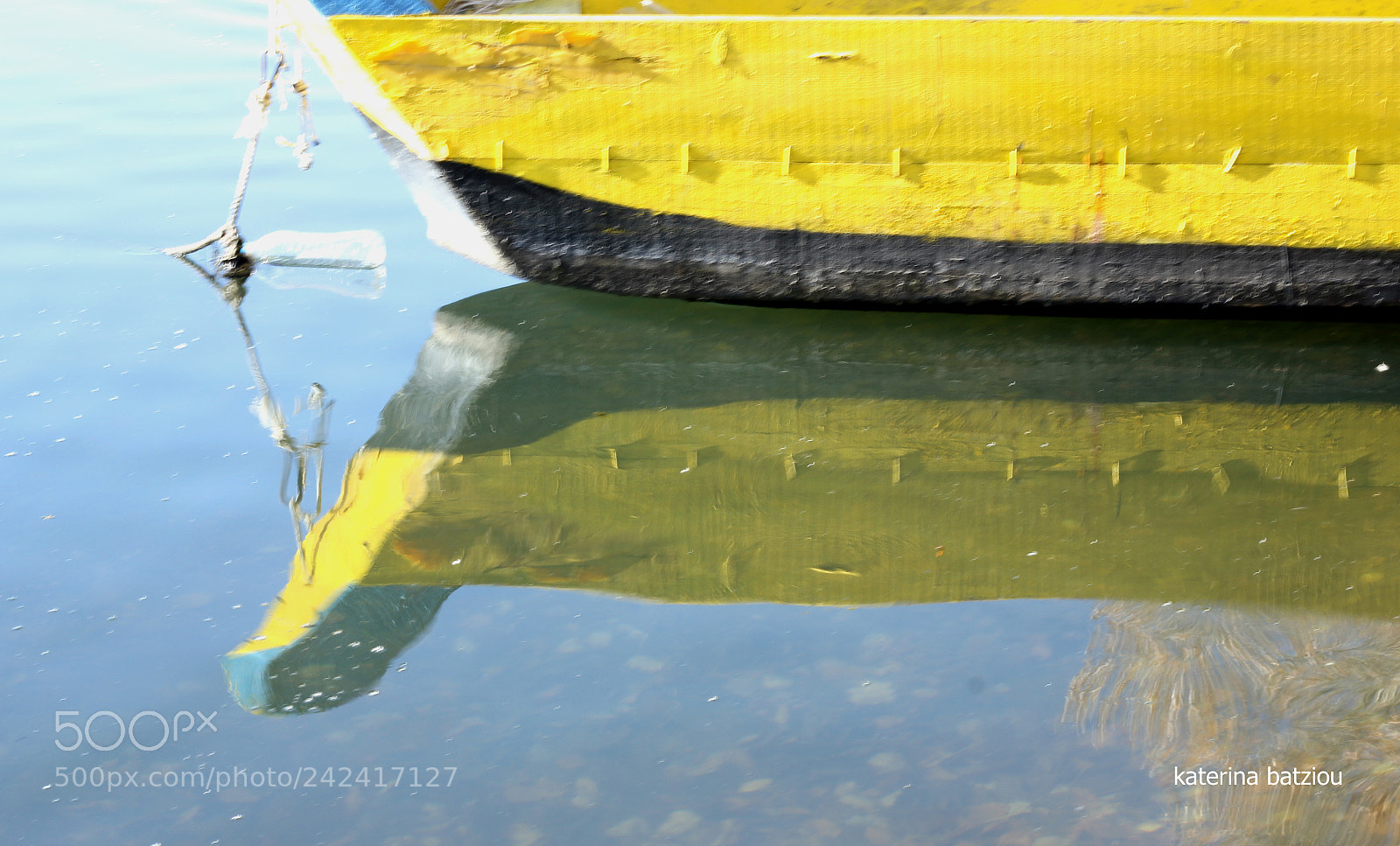 Canon EOS 550D (EOS Rebel T2i / EOS Kiss X4) sample photo. Yellow ....marine photography