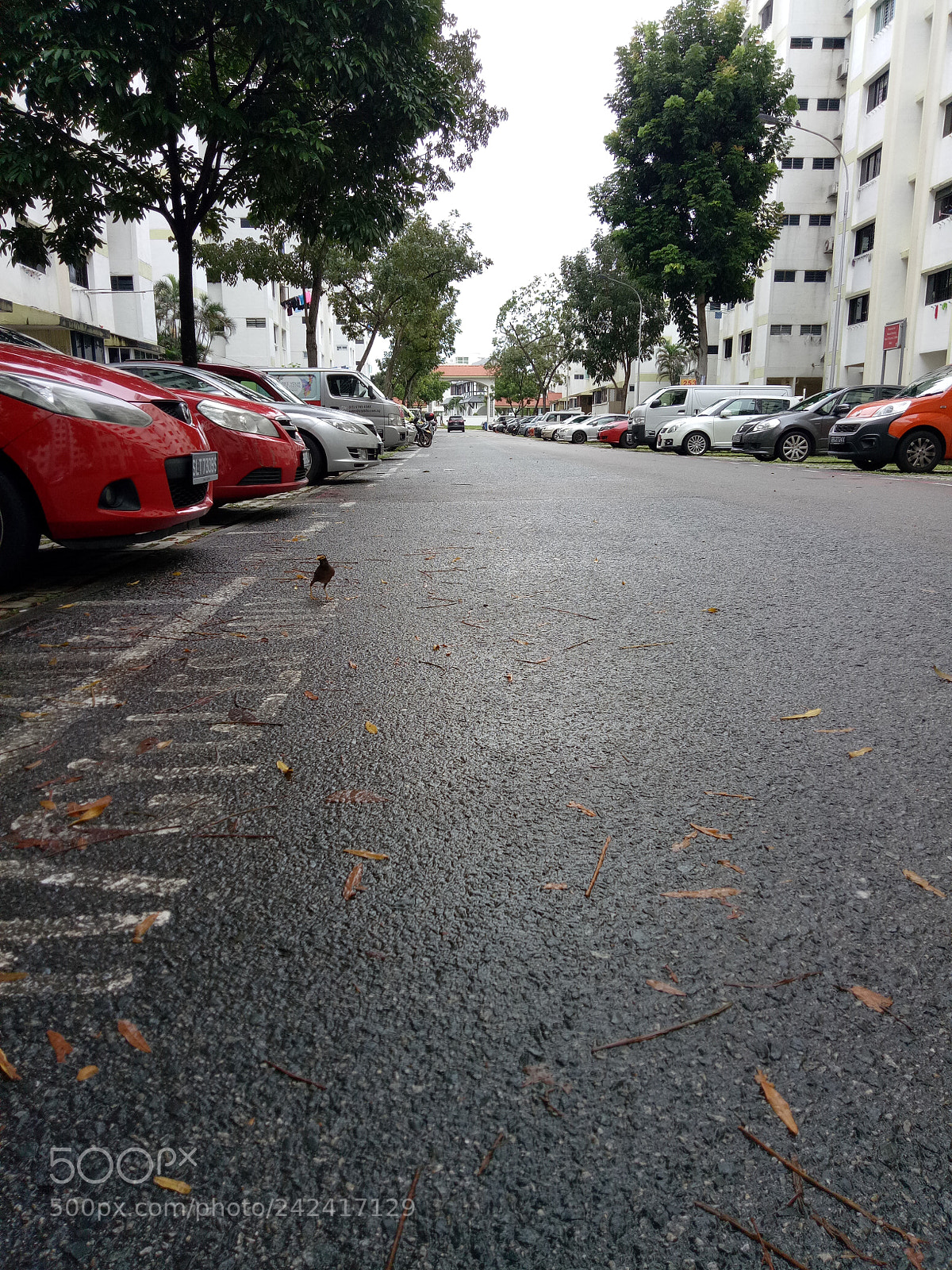 OPPO A1601 sample photo. 10 photography