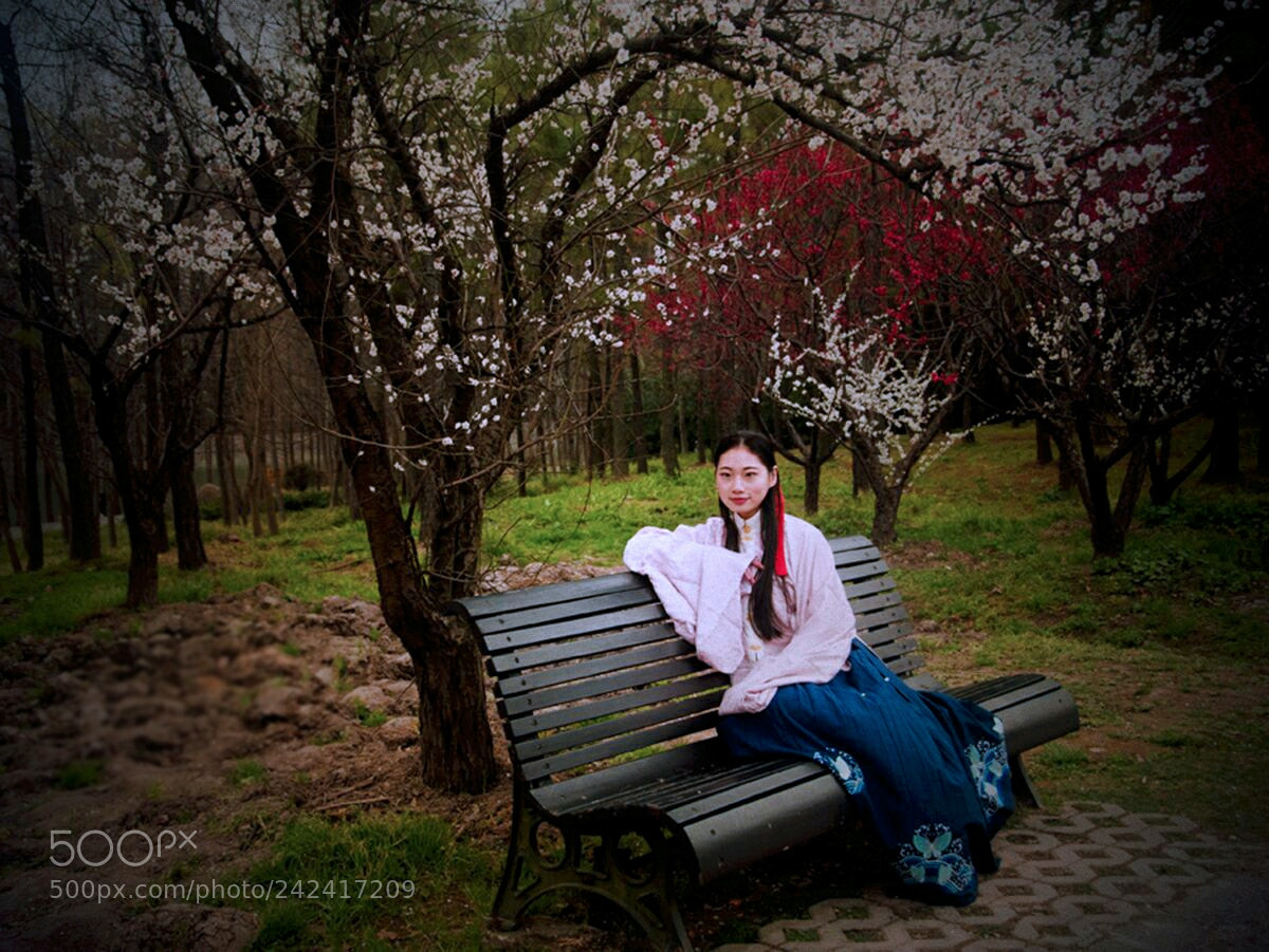 Nikon D300 sample photo. 梅花树下俏倚栏 photography