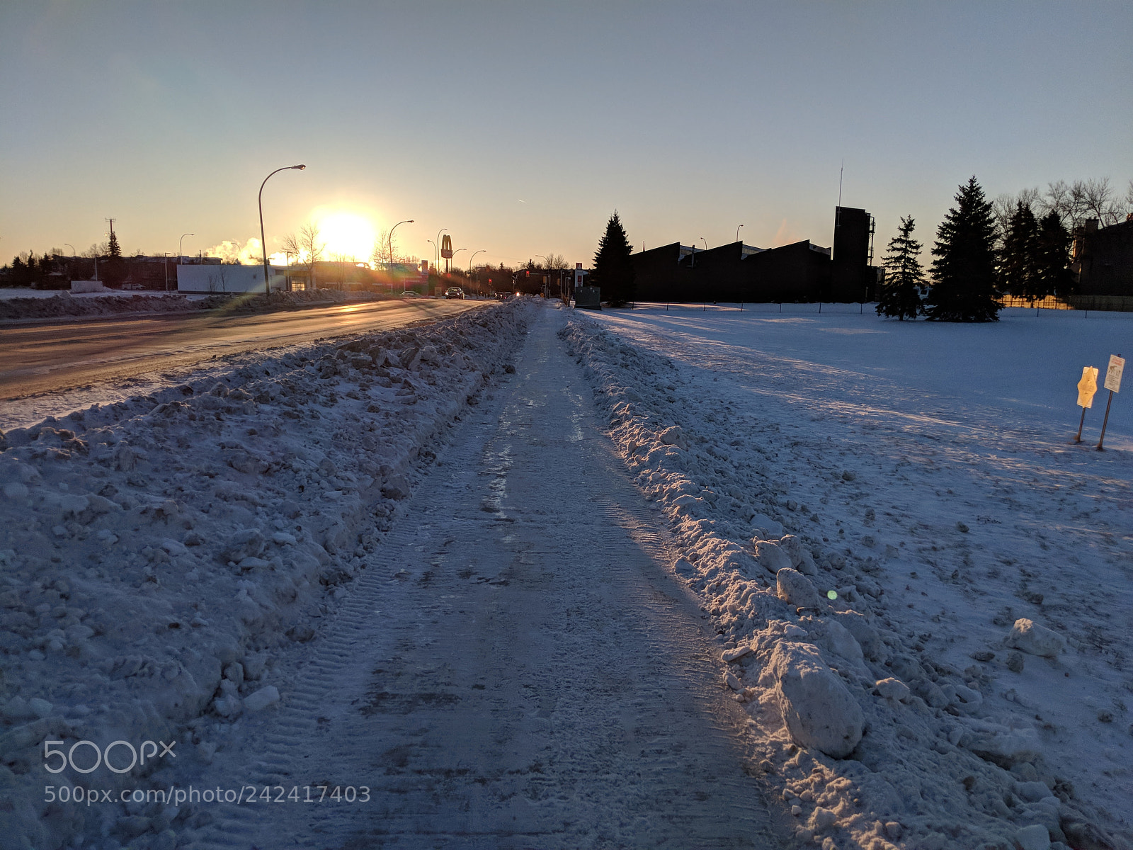 Google Pixel 2 sample photo. Untitled photography