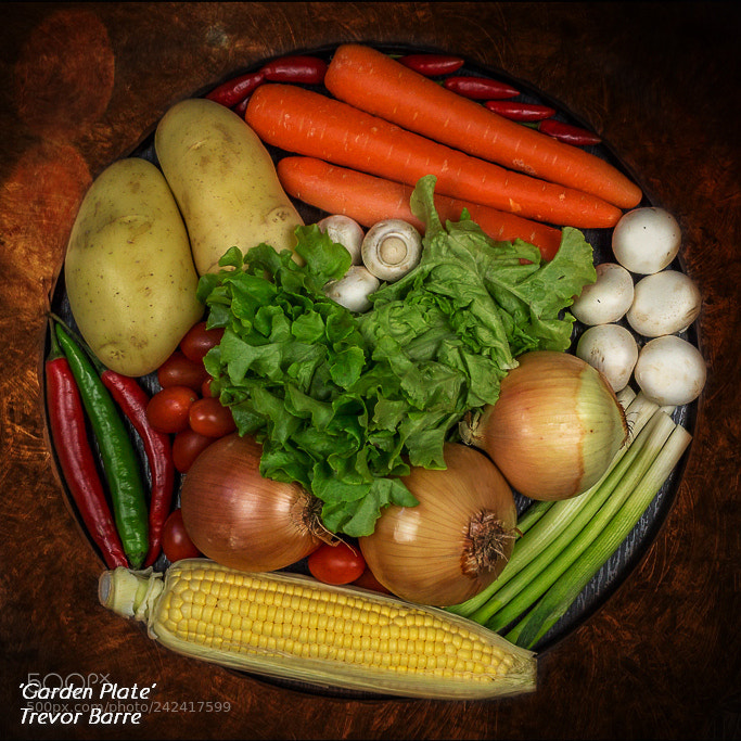 Canon EOS 650D (EOS Rebel T4i / EOS Kiss X6i) sample photo. Garden plate photography