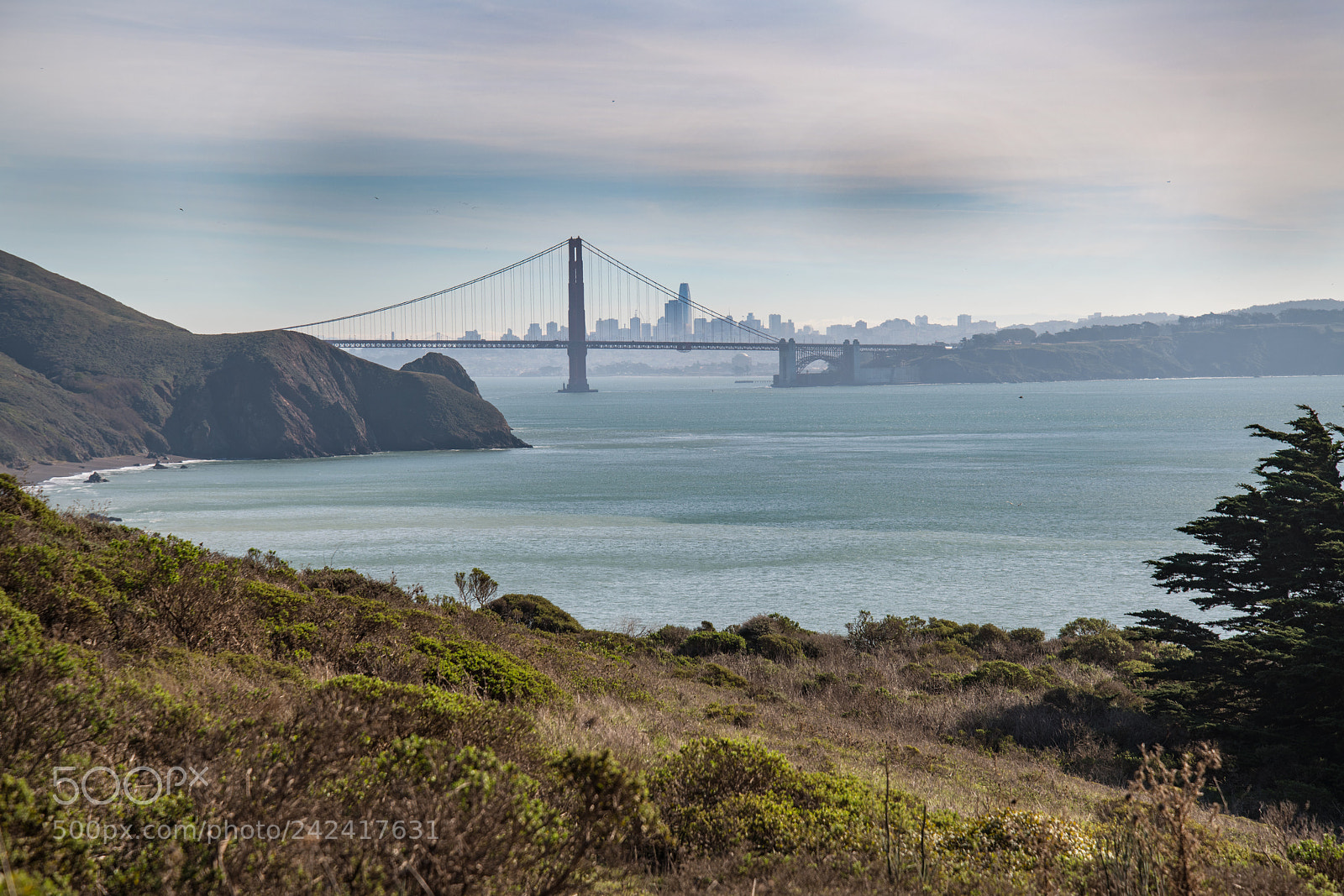 Nikon D850 sample photo. San francisco bay photography