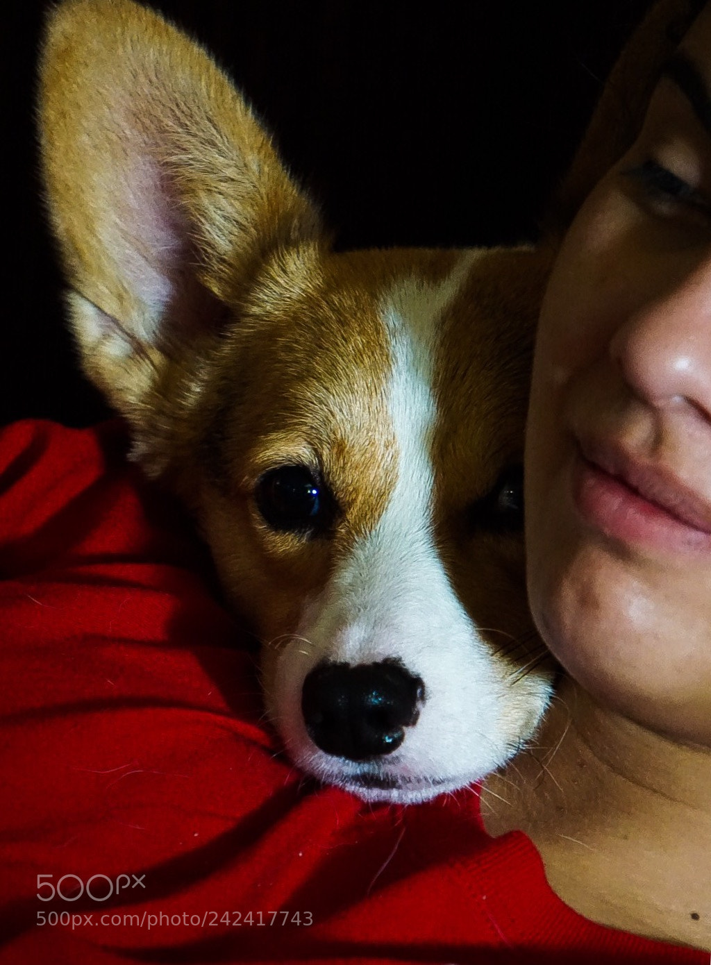 Sony a5100 sample photo. Corgi love photography