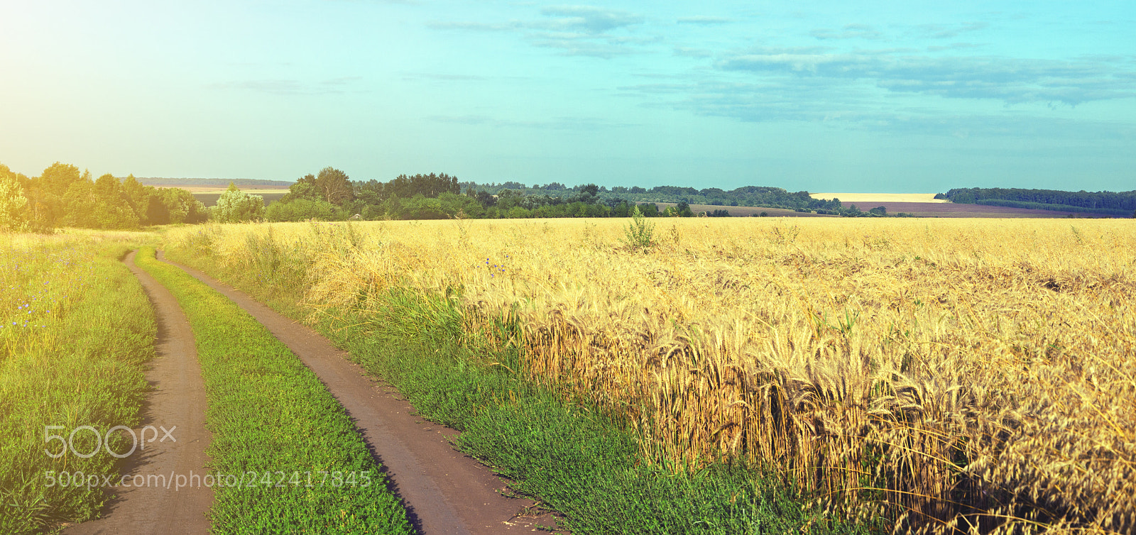 Nikon D5100 sample photo. Summer scene photography