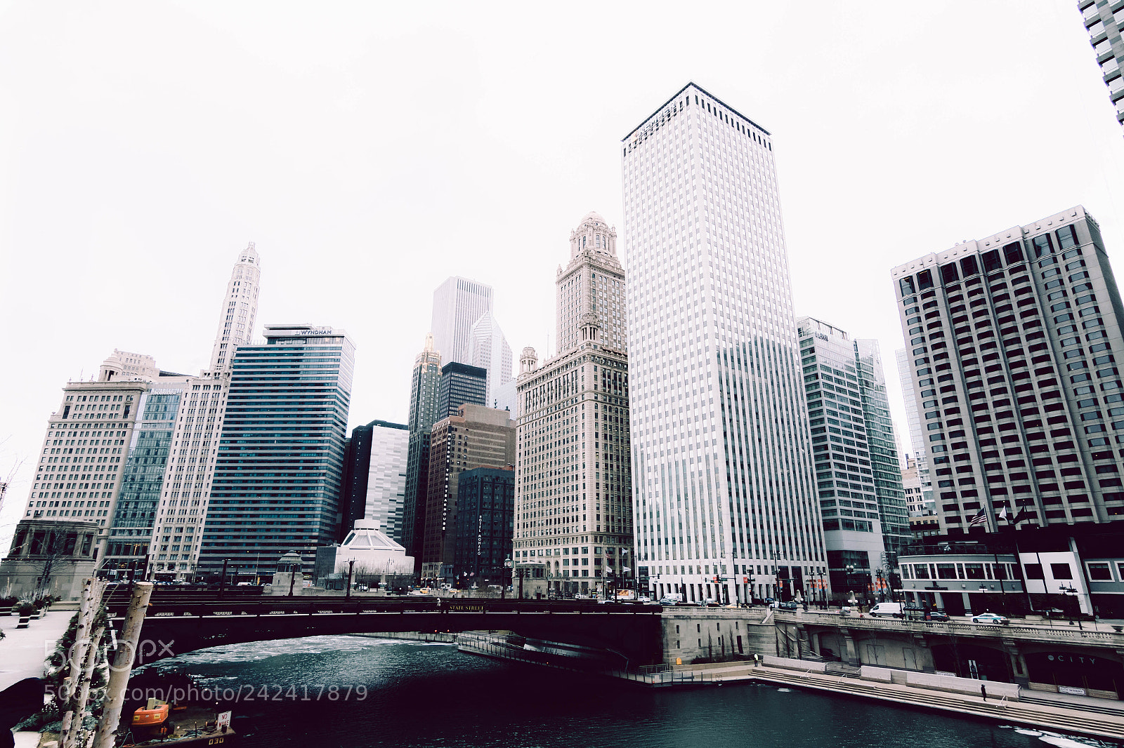 Canon EOS 7D Mark II sample photo. C photography