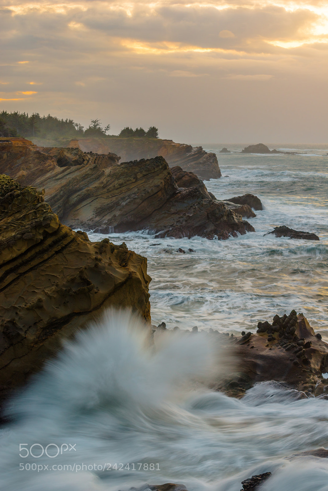 Nikon D800 sample photo. Facing west photography