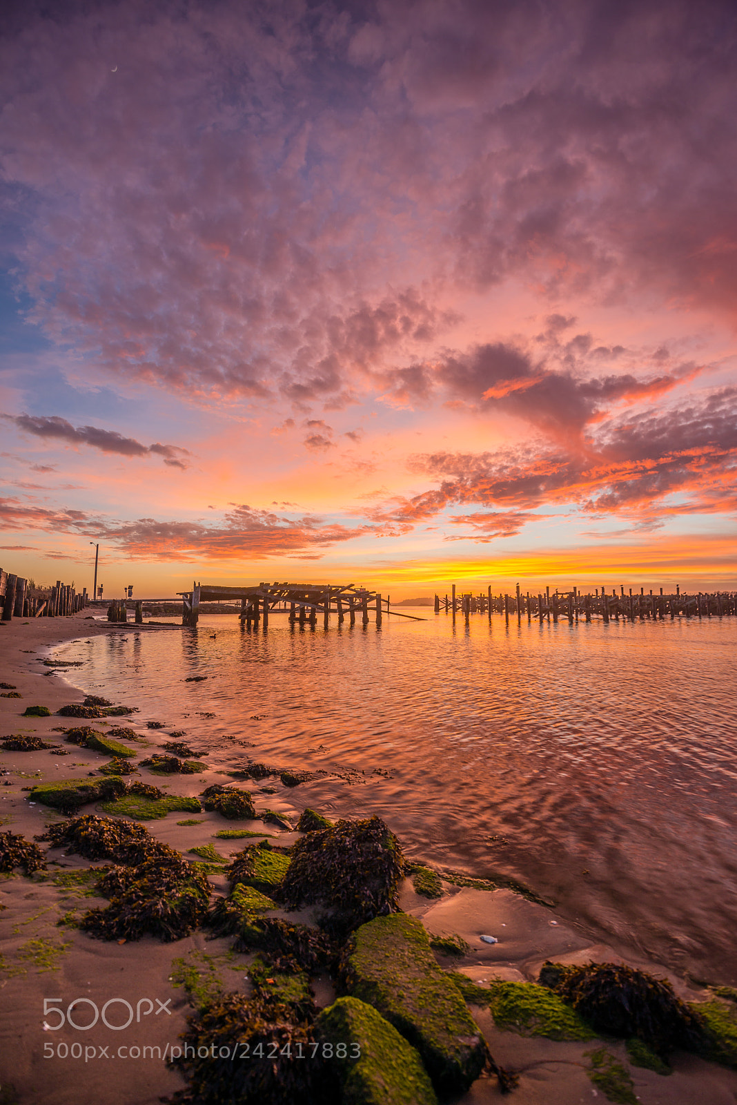 Nikon D800 sample photo. Boat launch at sunset photography