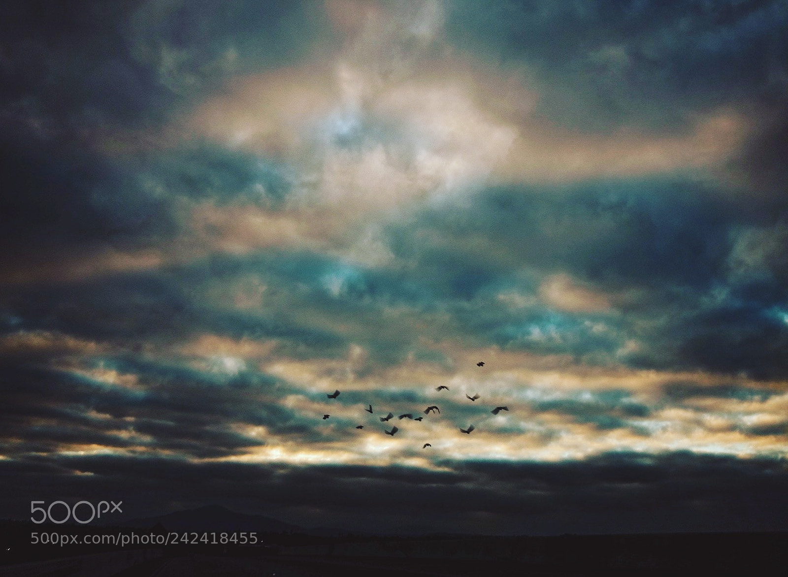 Fujifilm X70 sample photo. Lets fly away. photography