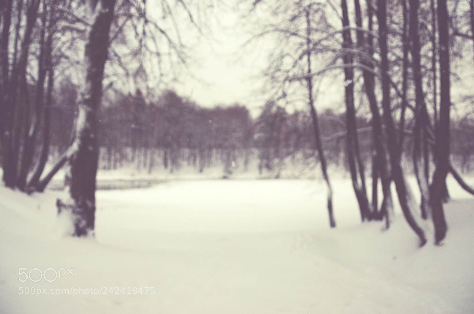 Nikon D5100 sample photo. Winter background photography