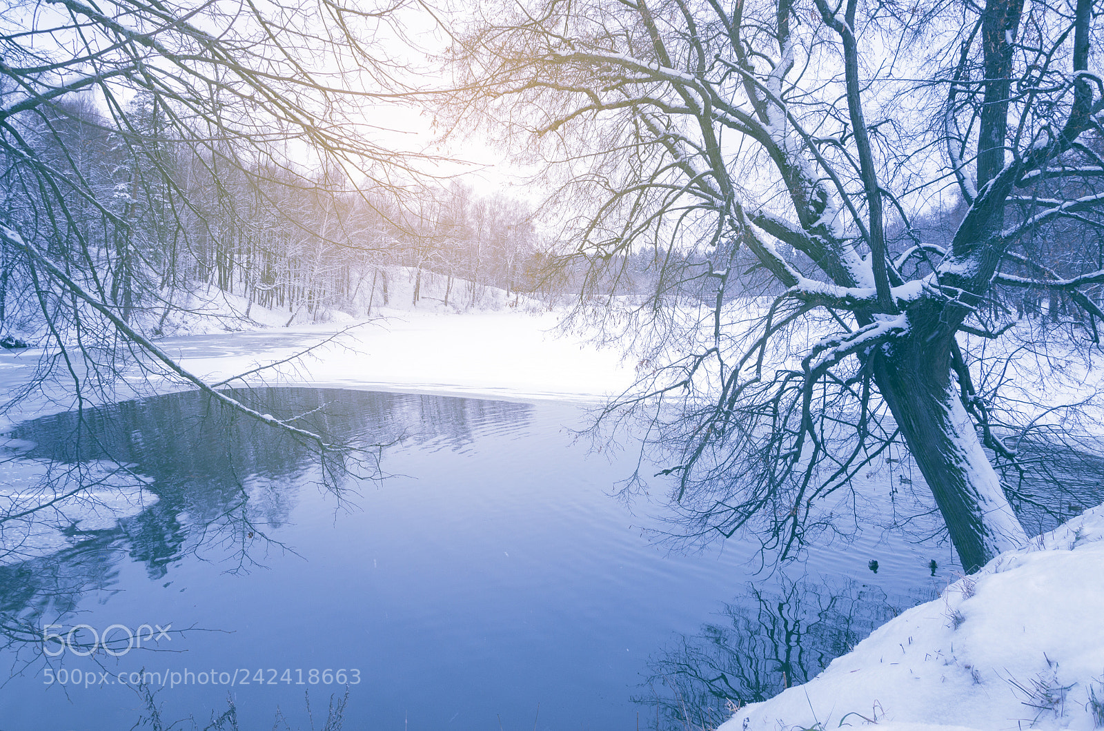Nikon D5100 sample photo. Winter scene photography