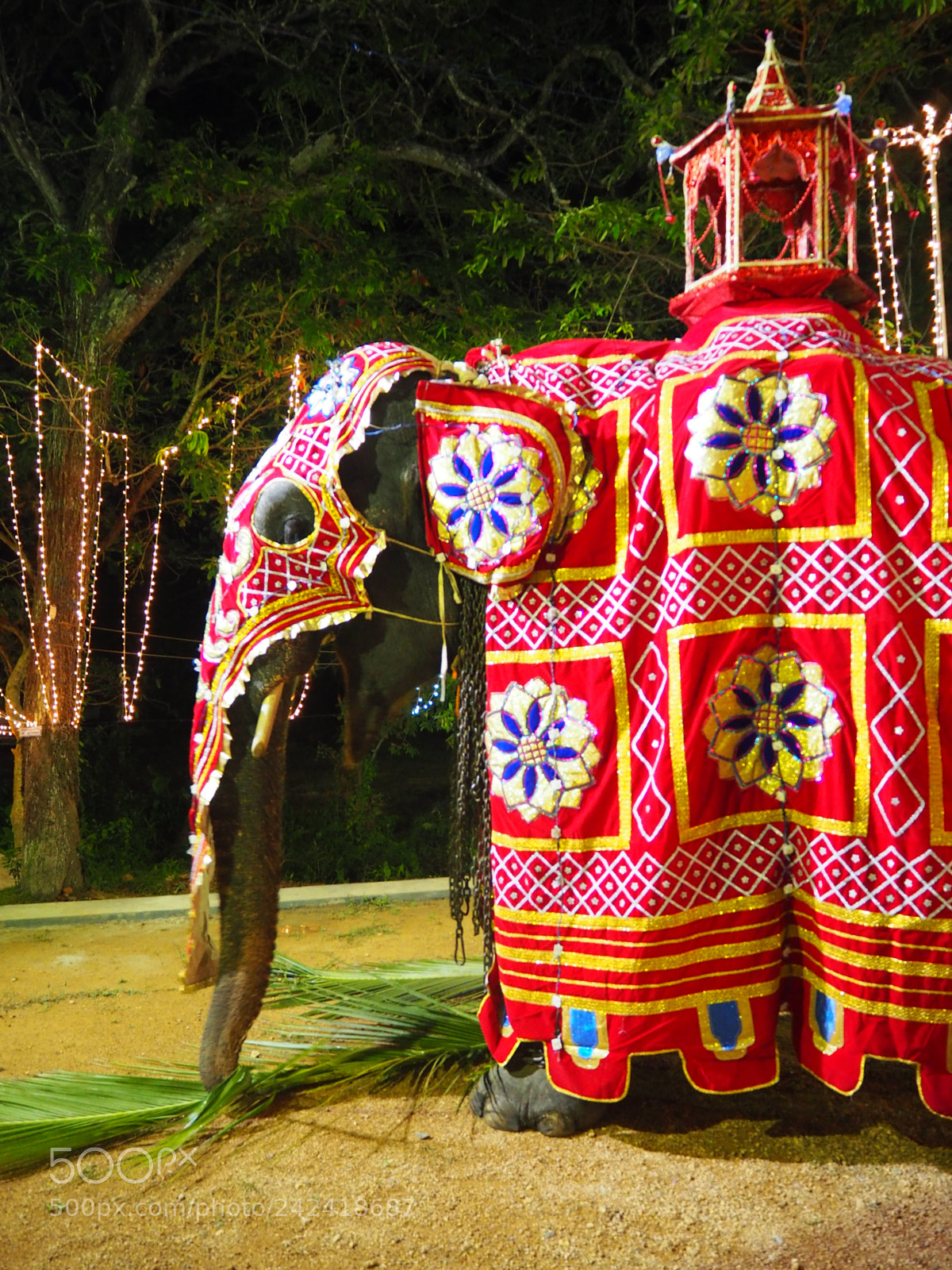 Olympus OM-D E-M10 II sample photo. Sri lanka - fest photography