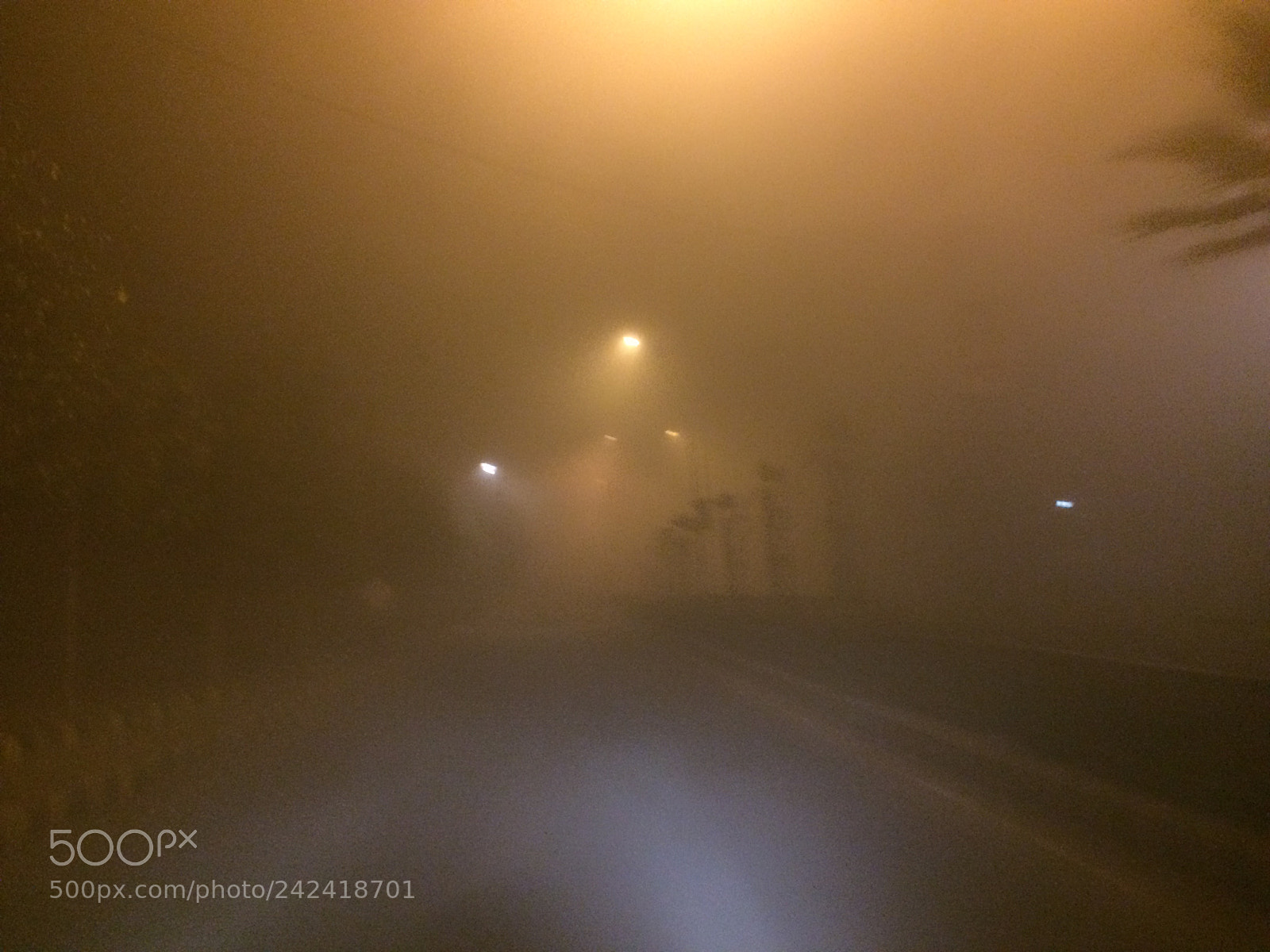 Apple iPhone 5s sample photo. Driving in fog photography