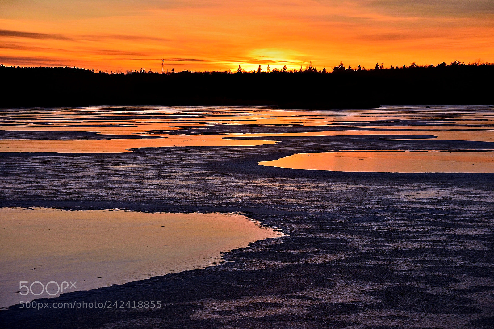 Nikon 1 J5 sample photo. Sunset reflections on icy photography