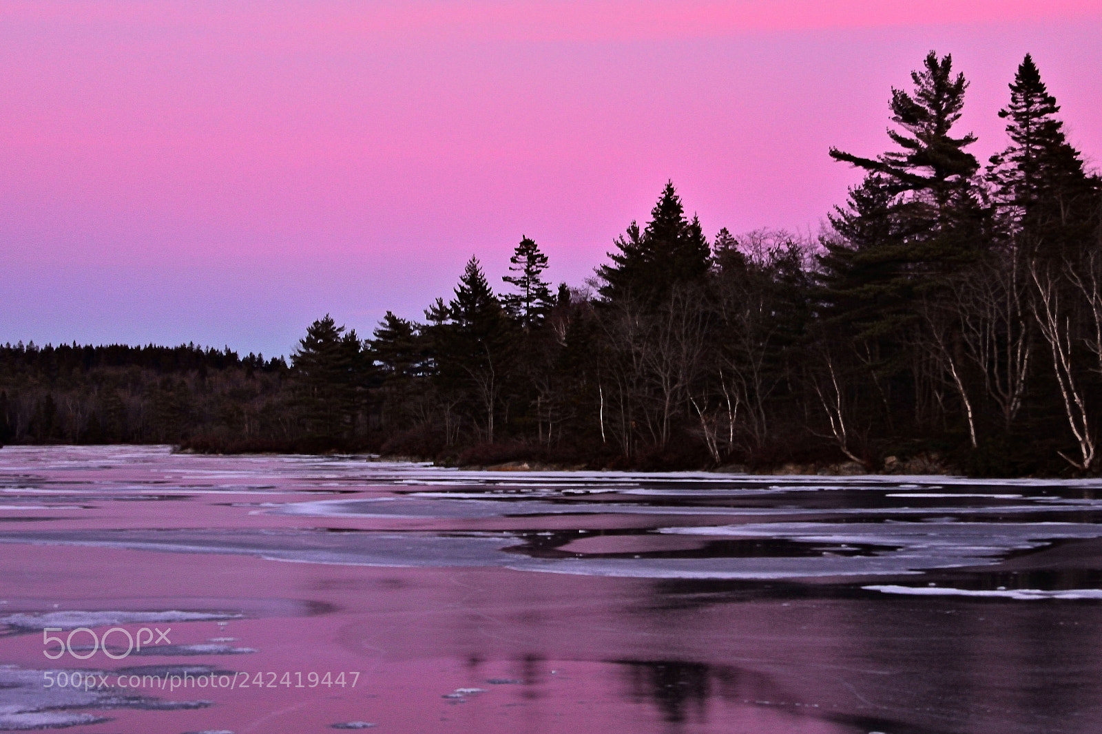 Nikon 1 J5 sample photo. Sunset reflections on icy photography