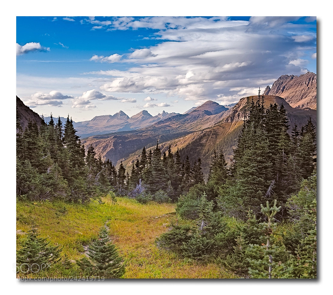 Canon EOS-1Ds Mark III sample photo. Print photography