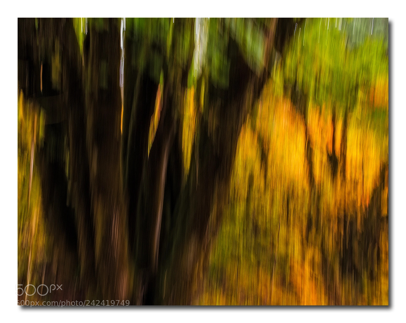 Canon EOS-1D X sample photo. F photography