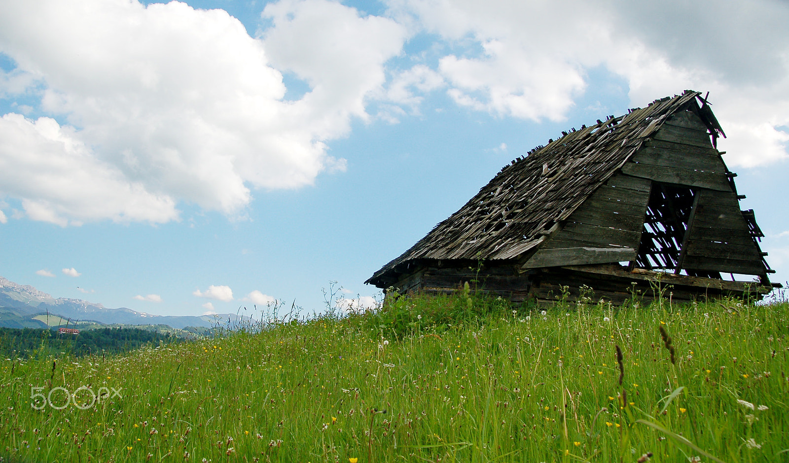 Nikon D50 sample photo. Summer house in country photography