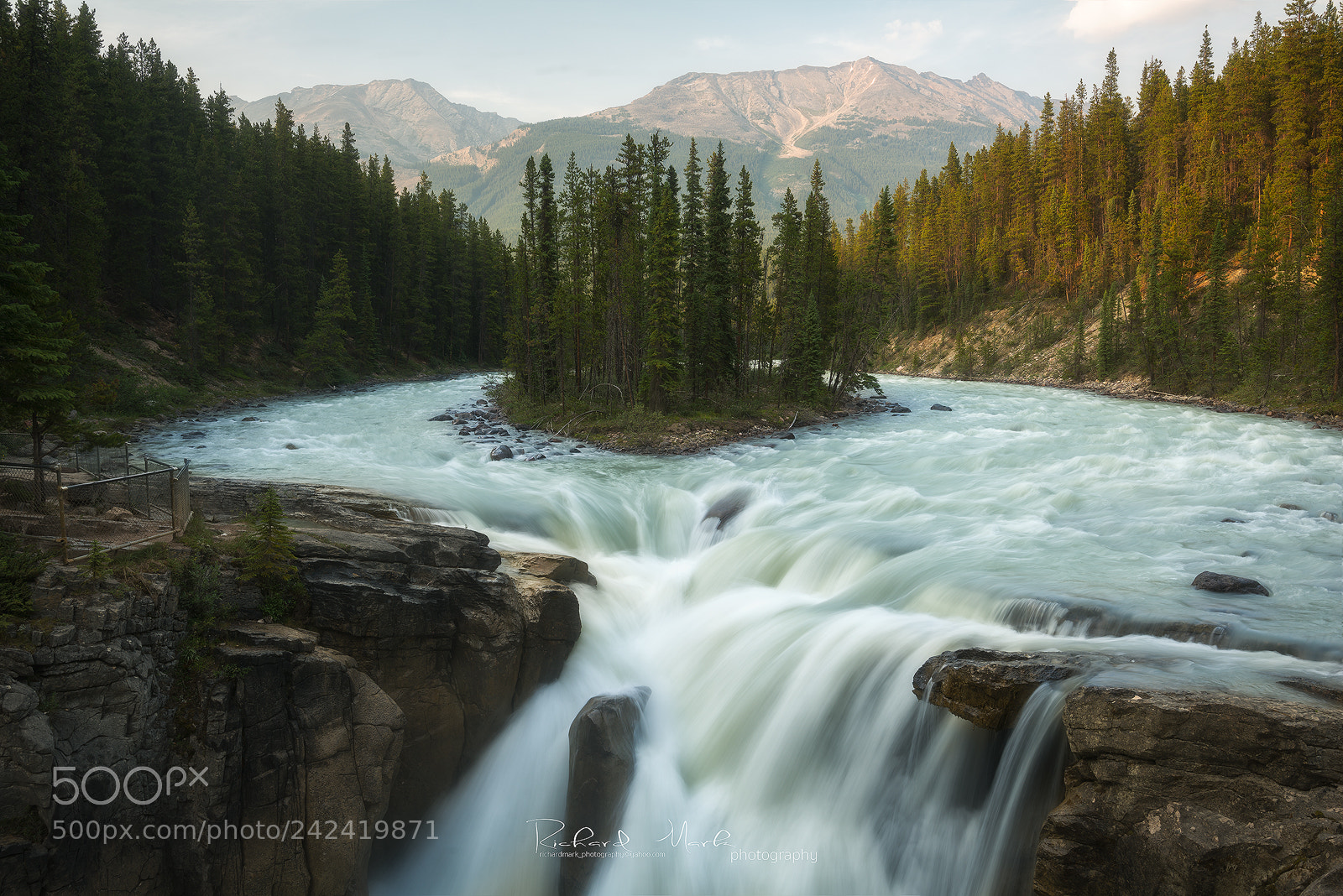 Nikon D800 sample photo. Sunwapta falls photography