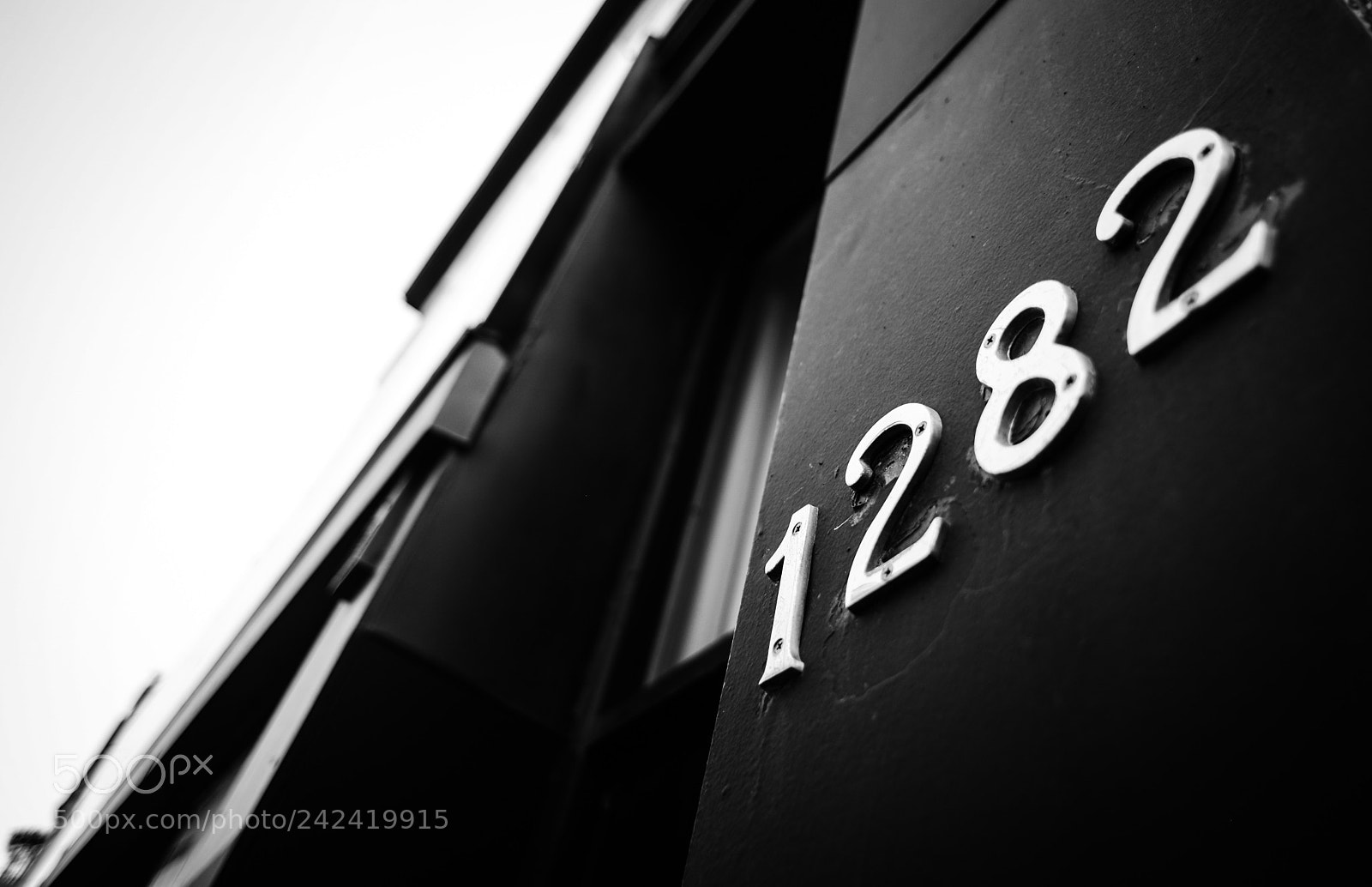 Nikon D600 sample photo. 1282 photography