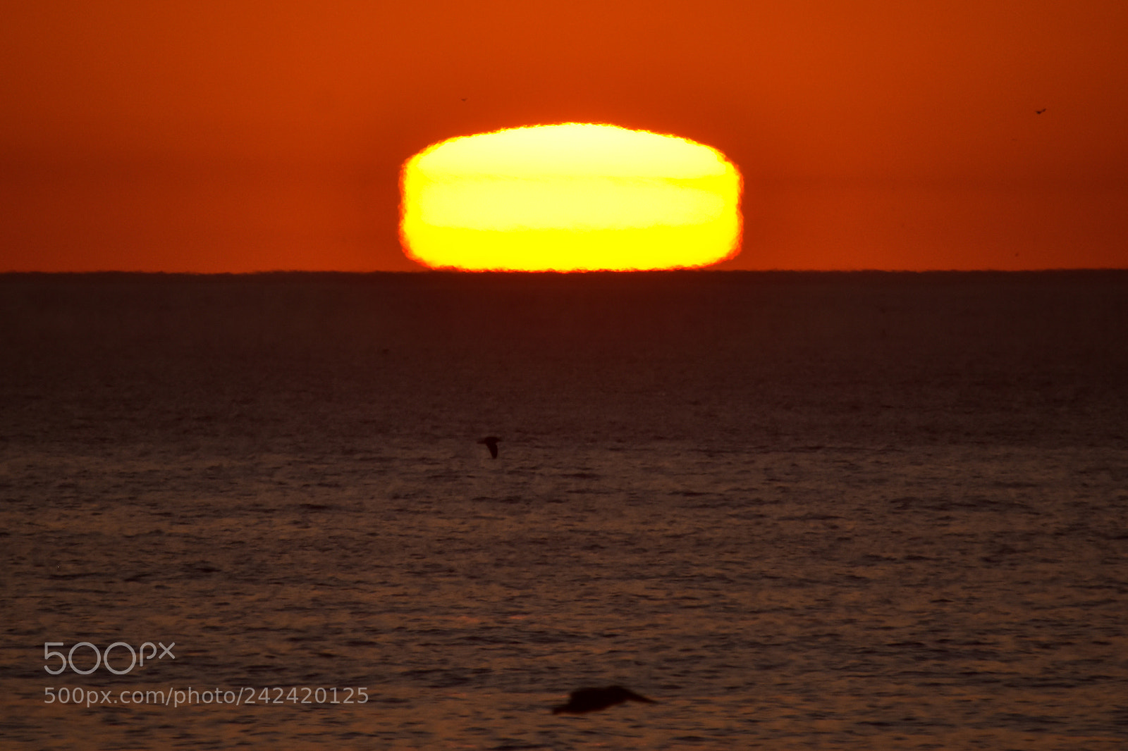 Nikon D7200 sample photo. Sunsets - 1 photography