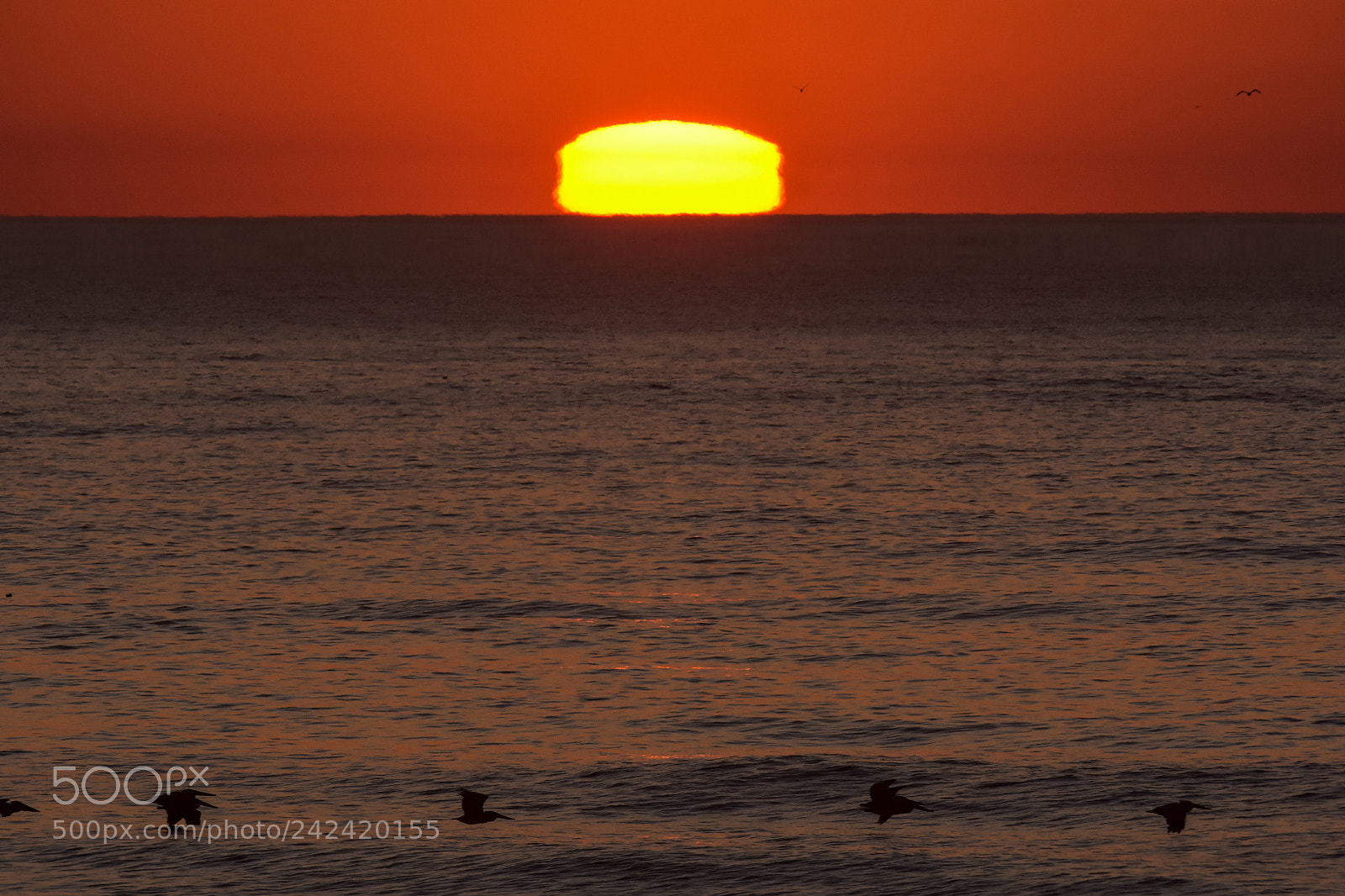 Nikon D7200 sample photo. Sunsets - 2 photography